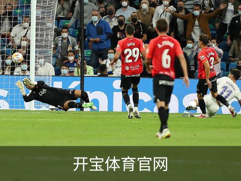 开宝体育官网简介