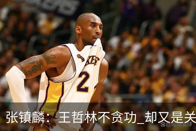 张镇麟：王哲林不贪功 却又是关键时刻能站出来的人 队长当之无愧