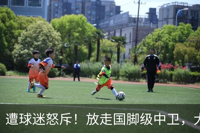 遭球迷怒斥！放走国脚级中卫，大连英博“无私支援”武汉三镇保级